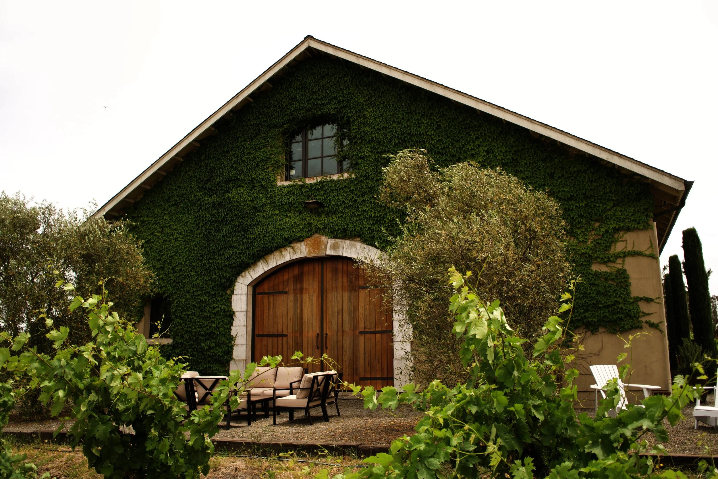 DSC08778-min.jpg