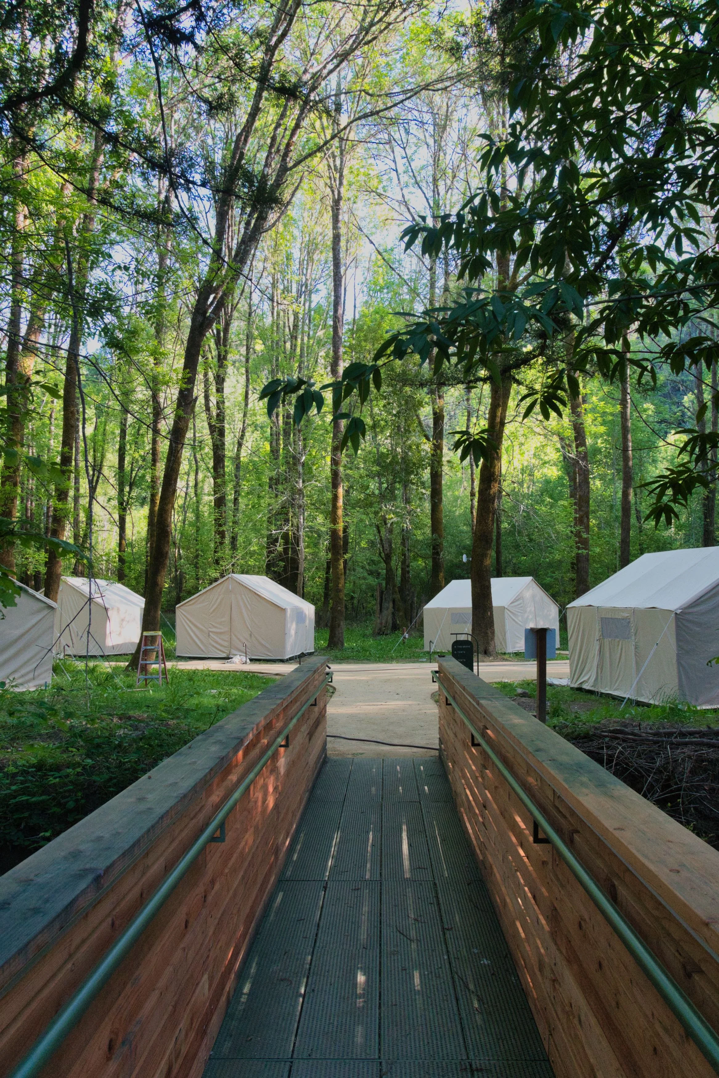 A wooden ramp leading to a campground with tents in a lush green forest.