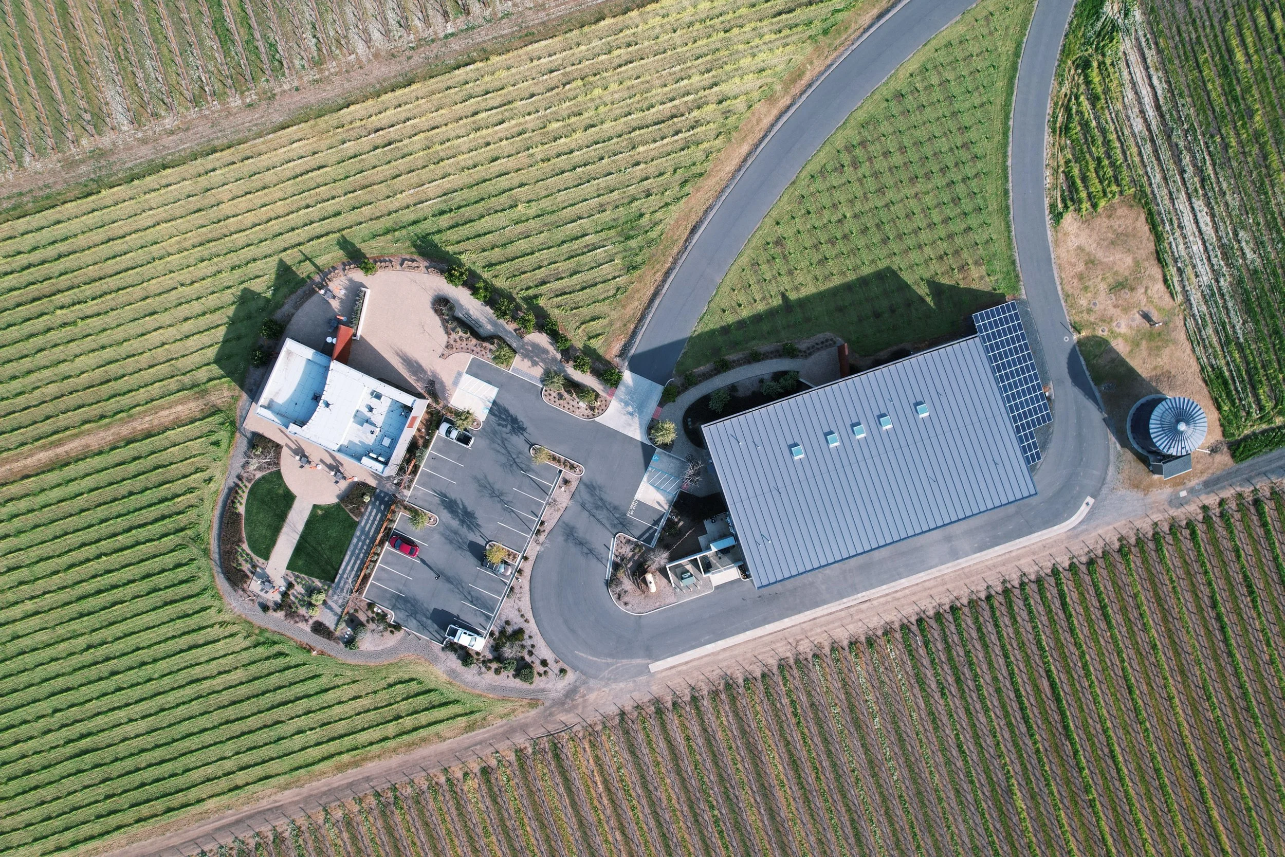DJI_0361 (1).jpg