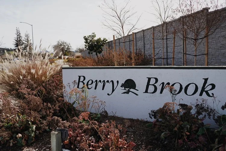 A white sign with black text reading 'Berry Brook' and a tree logo, surrounded by dry bushes and plants, with a brick wall and leafless trees in the background.