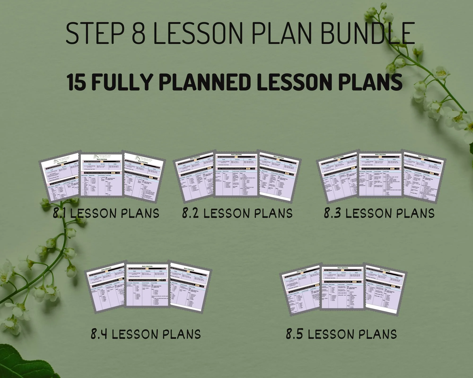 Step 8 WRS Aligned Digital Lesson Plans (15 Lesson Plans Complete Set)