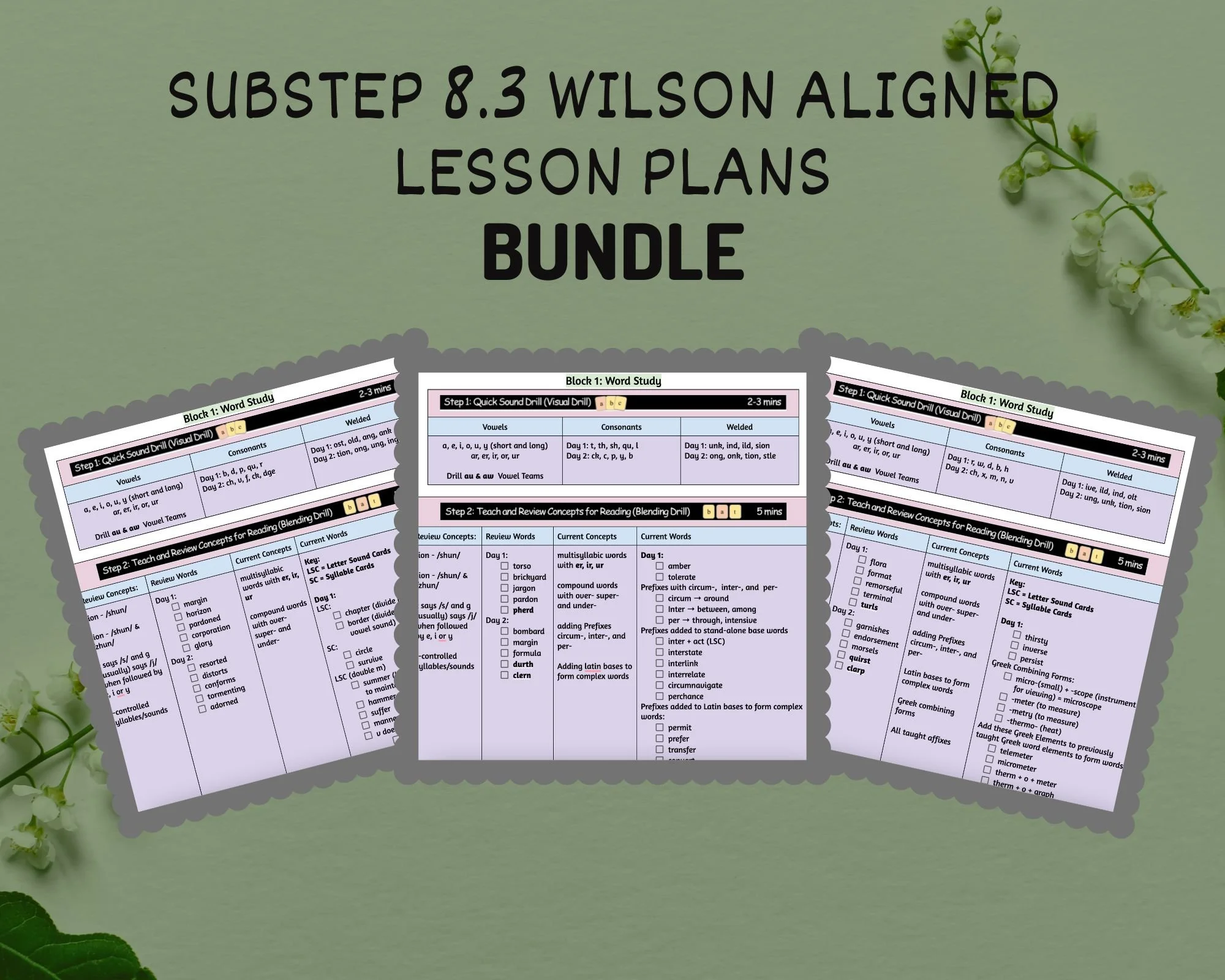 8.3 WRS Aligned Digital Lesson Plans