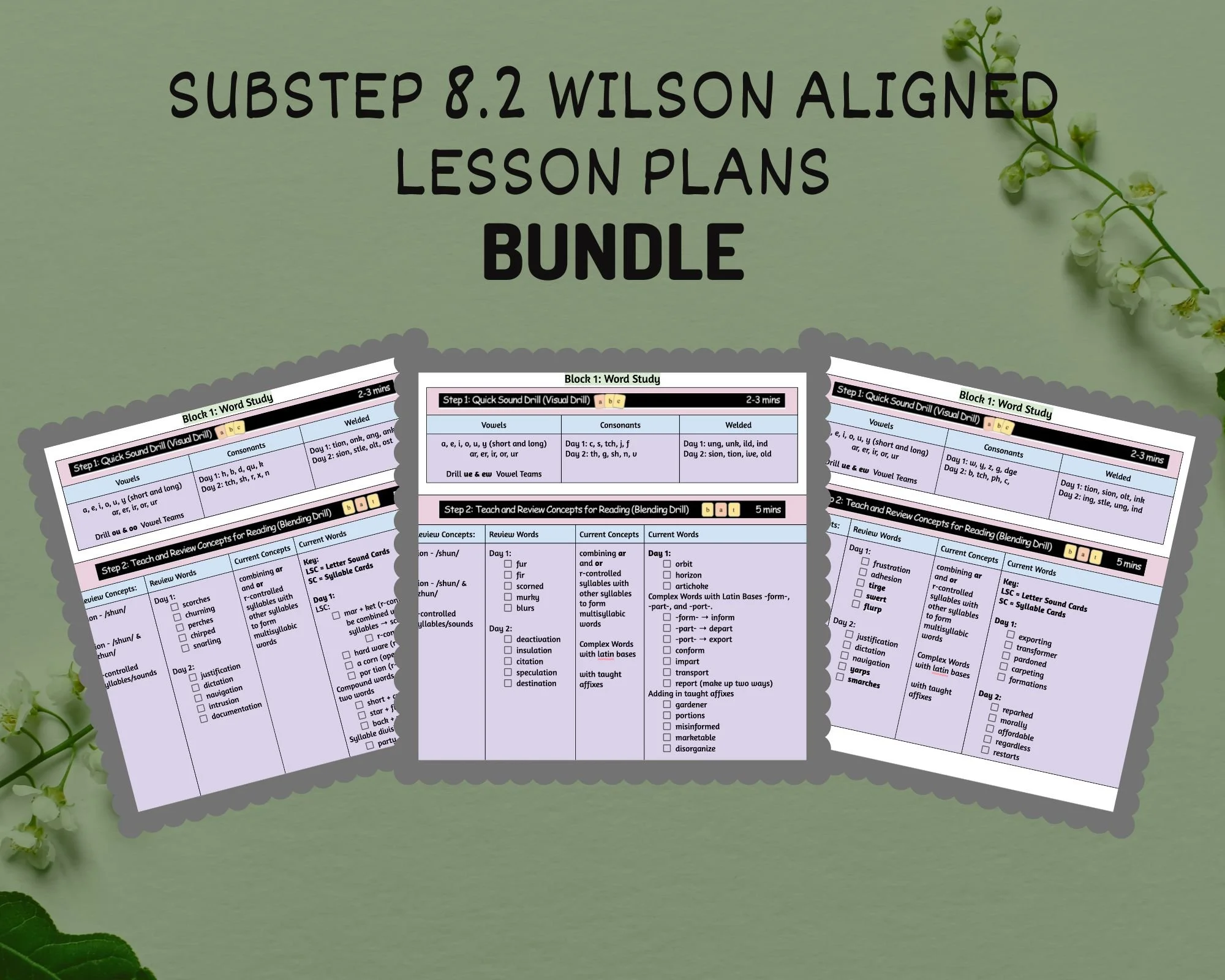 8.2 WRS Aligned Digital Lesson Plans