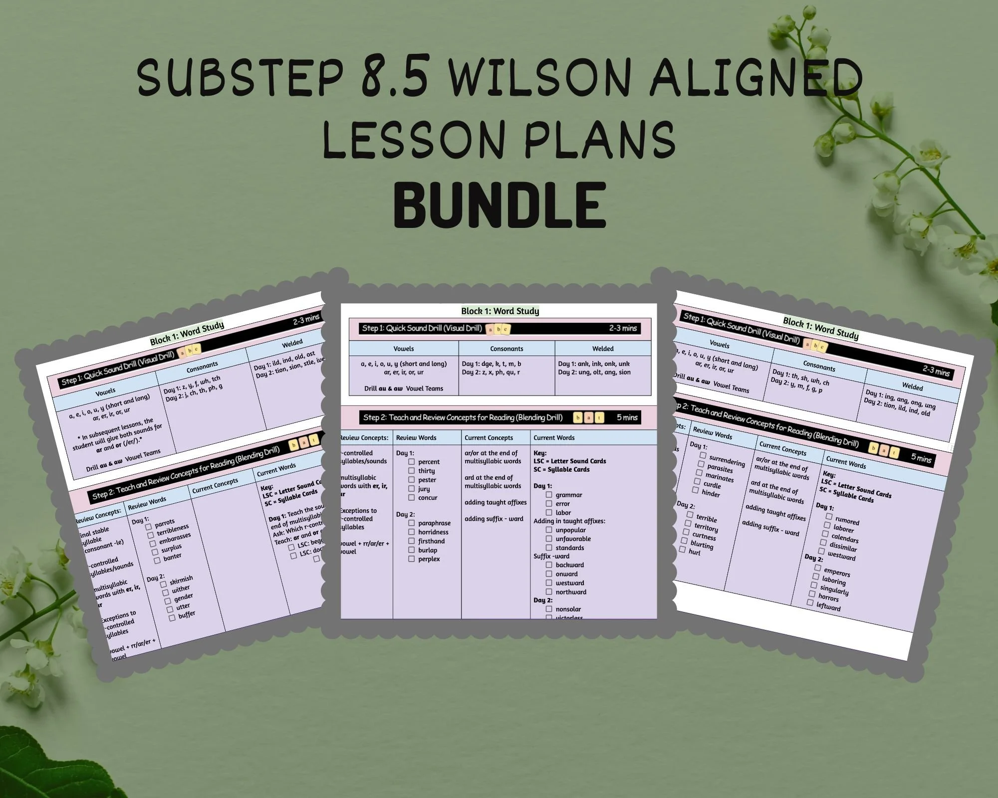 8.5 WRS Aligned Digital Lesson Plans