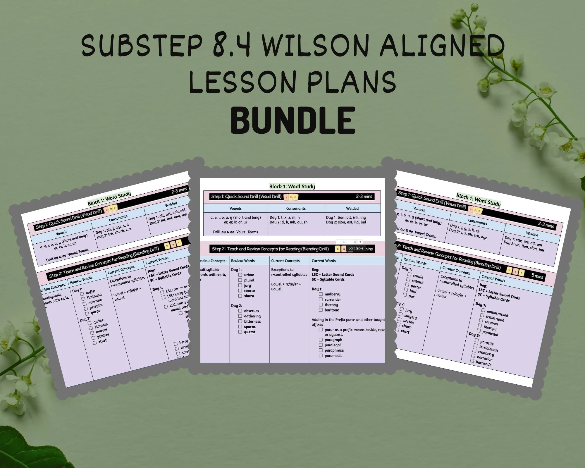 8.4 WRS Aligned Digital Lesson Plans
