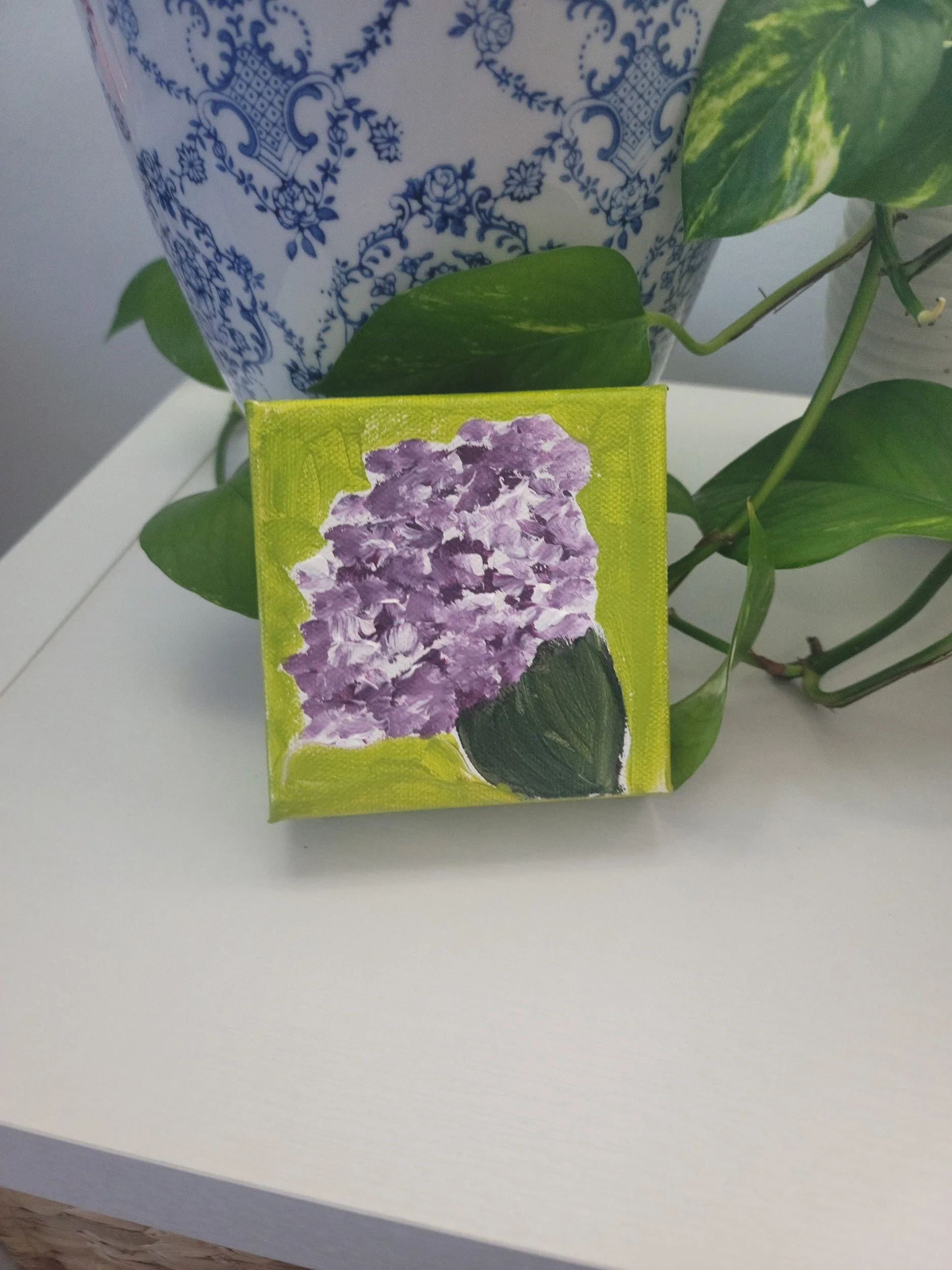 Springtime Lime 4 x 4