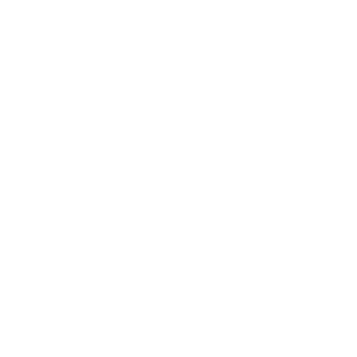 MLMP 2027