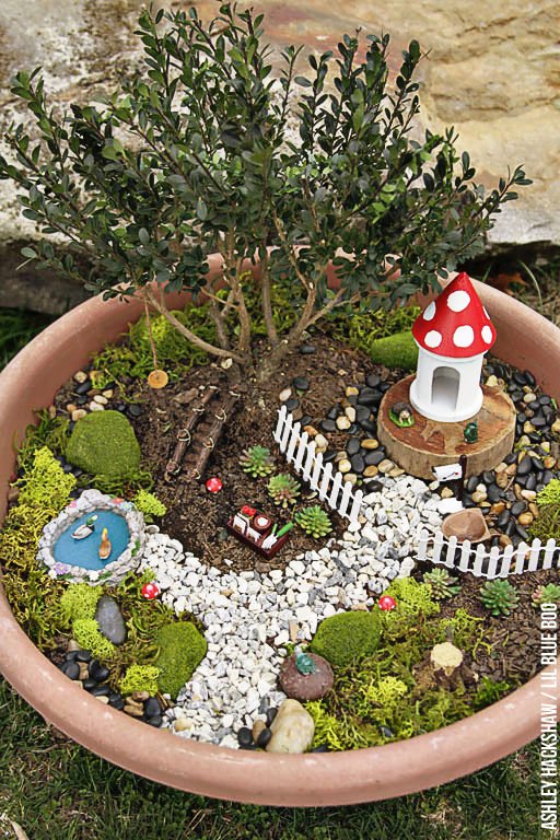 Fairy Gardens for Kids