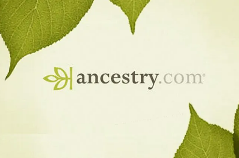 Screenshot 2025-11-13 132541.png