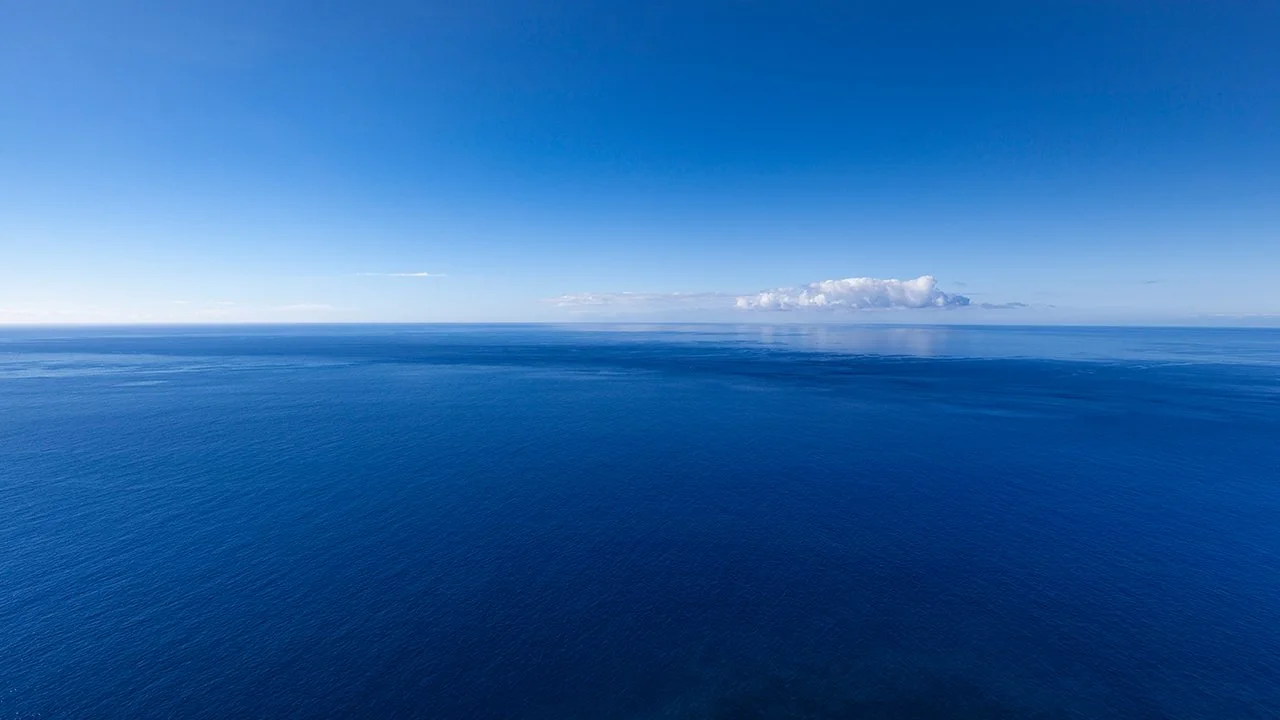 Decline in plankton across North East Atlantic sends stark warning for ocean health