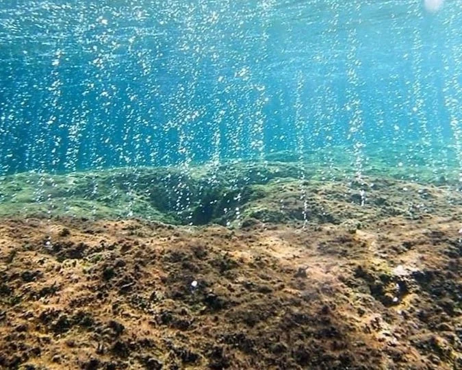 Sustainable Blue Economy — Marine Research Plymouth