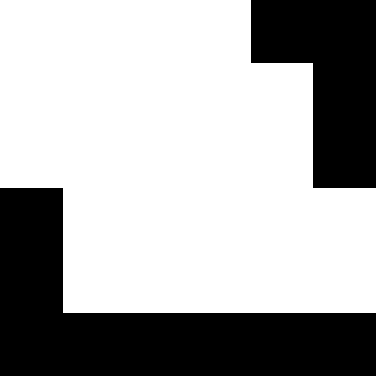 L1