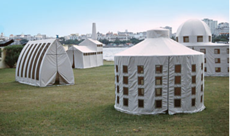 Lettuce in a Landfill