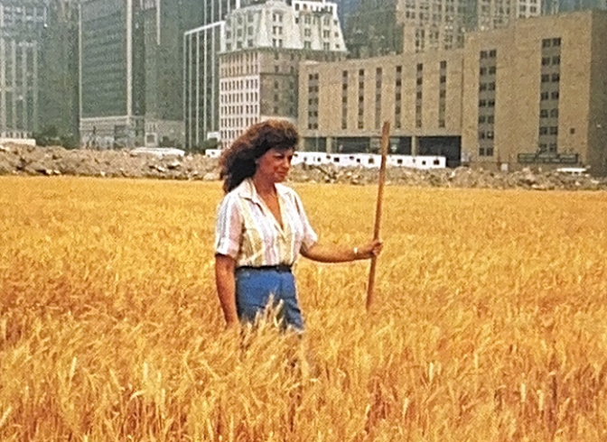 The Ecological Art Explosion