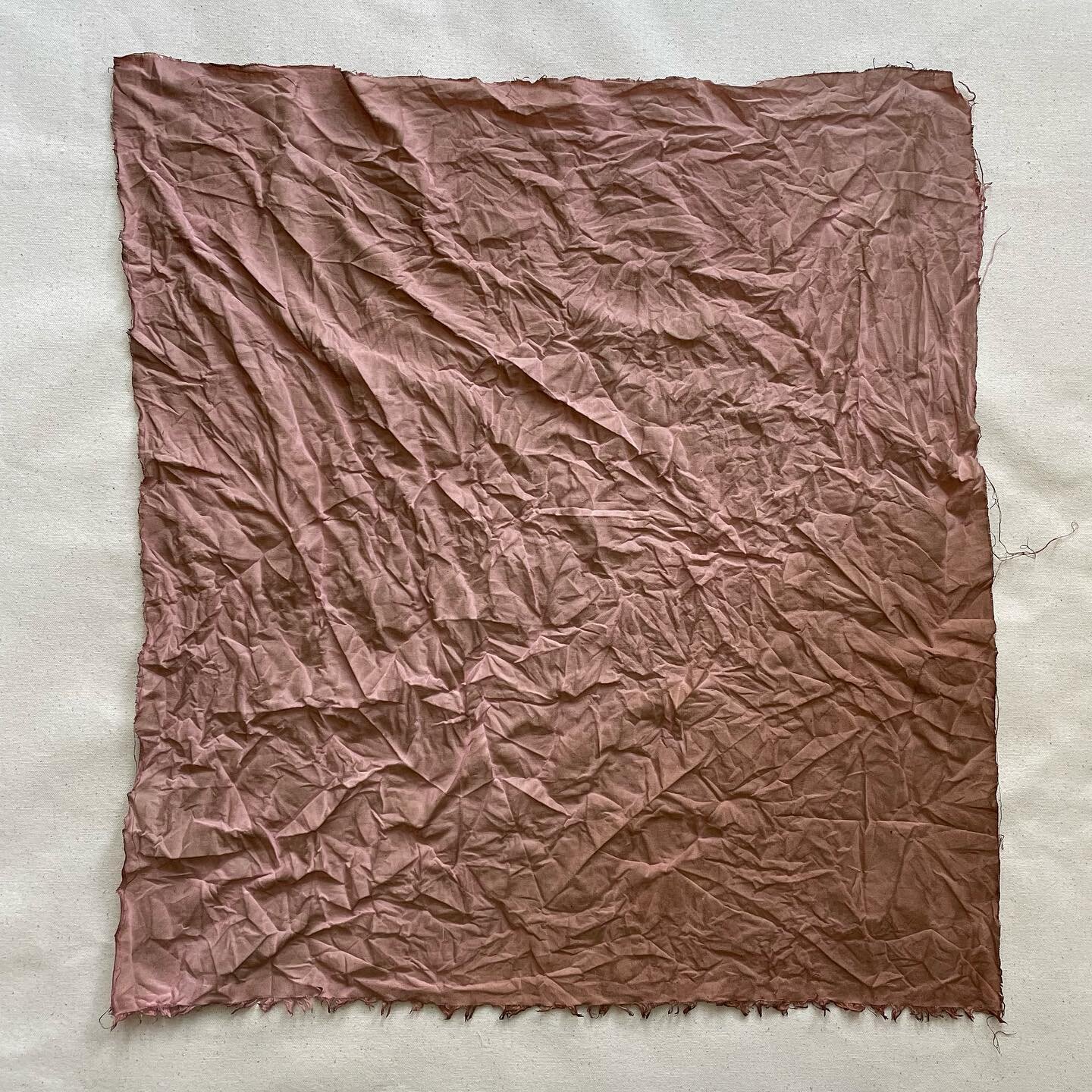 &lsquo;A Blush of Feldspar&rsquo;
Acrylic on Calico

The subtleness of the bottom right corner of this piece makes it almost appear as a natural shadow. It isn&rsquo;t. I like how gentle the effect is.