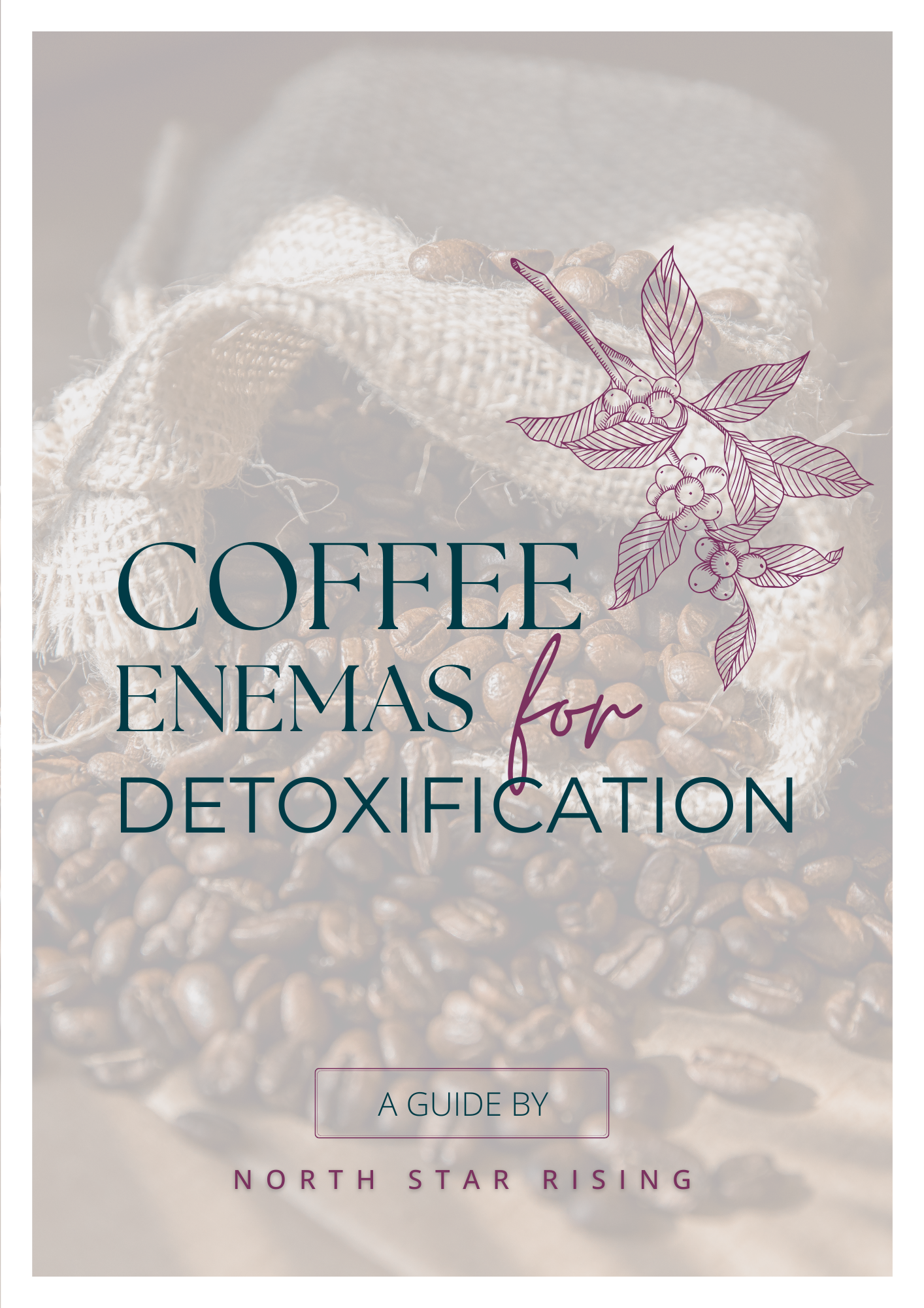 Coffee Enema Guide.png