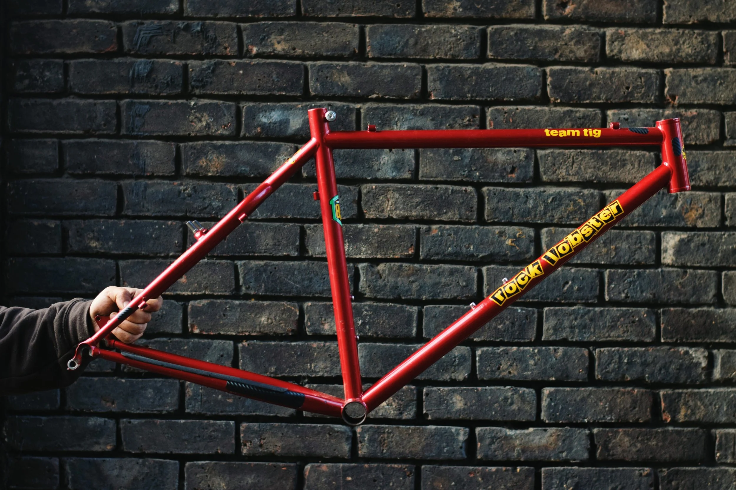 ROCK LOBSTER MTB (L)