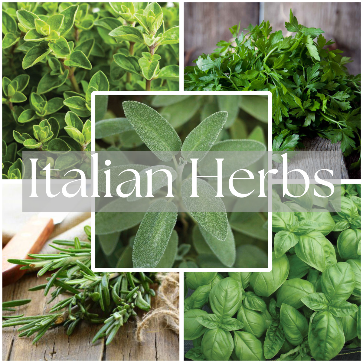 Italian Herbs