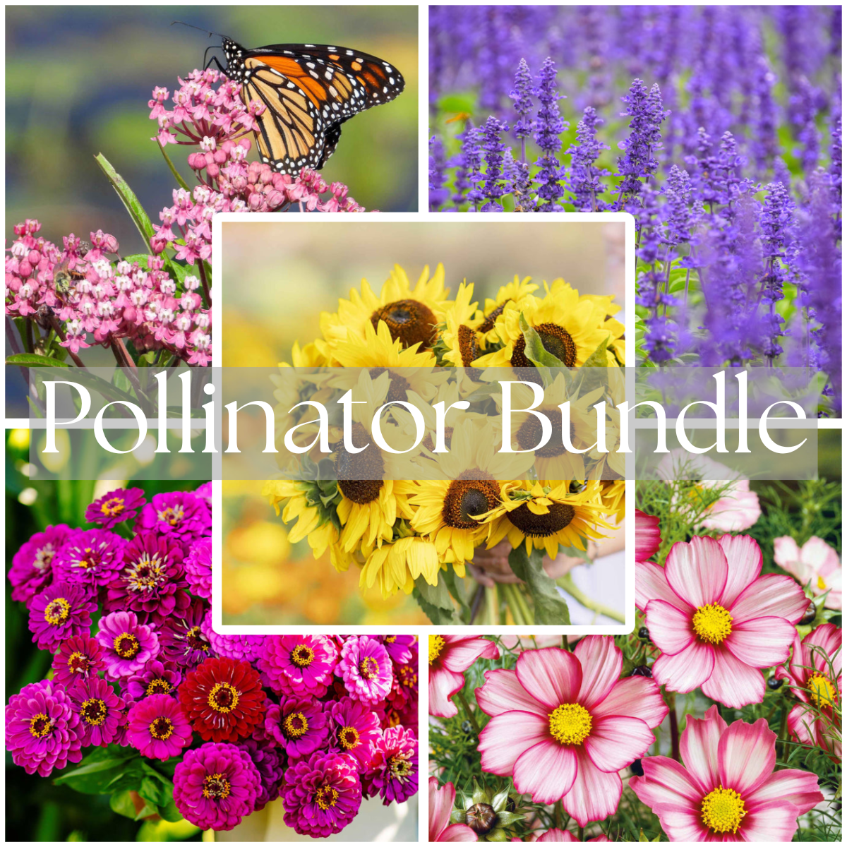 Pollinator Bundle