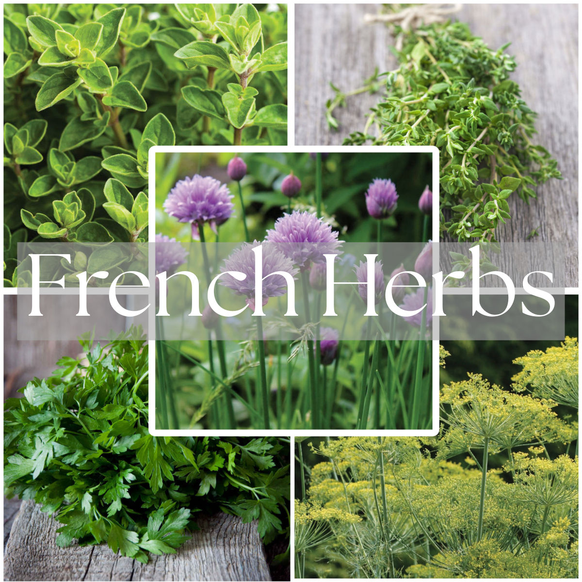 French Herbs