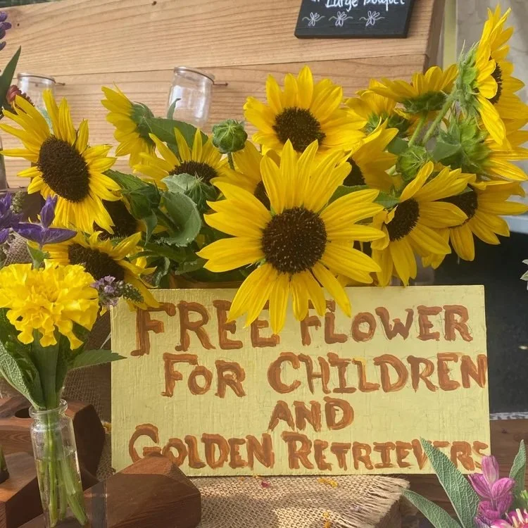 Sunflowers_DandelionFarms.jpg