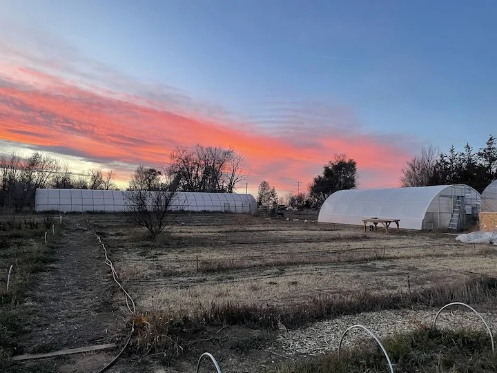 SleepingFarm_DandelionFarms.jpg