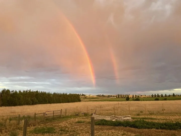 DoubleRainbow_DandelionFarms.jpg