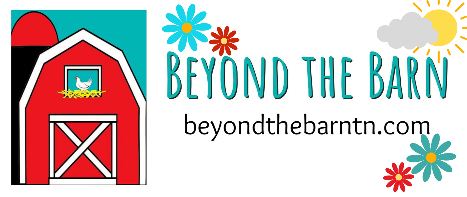 Beyond the Barn 