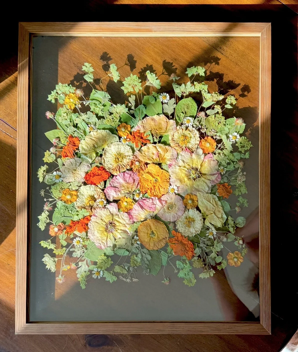 Amazing how different the frames look in different lighting and backgrounds. The flowy greenery in this one is my favorite part!!! Contrasts so beautifully with the orange 🧡