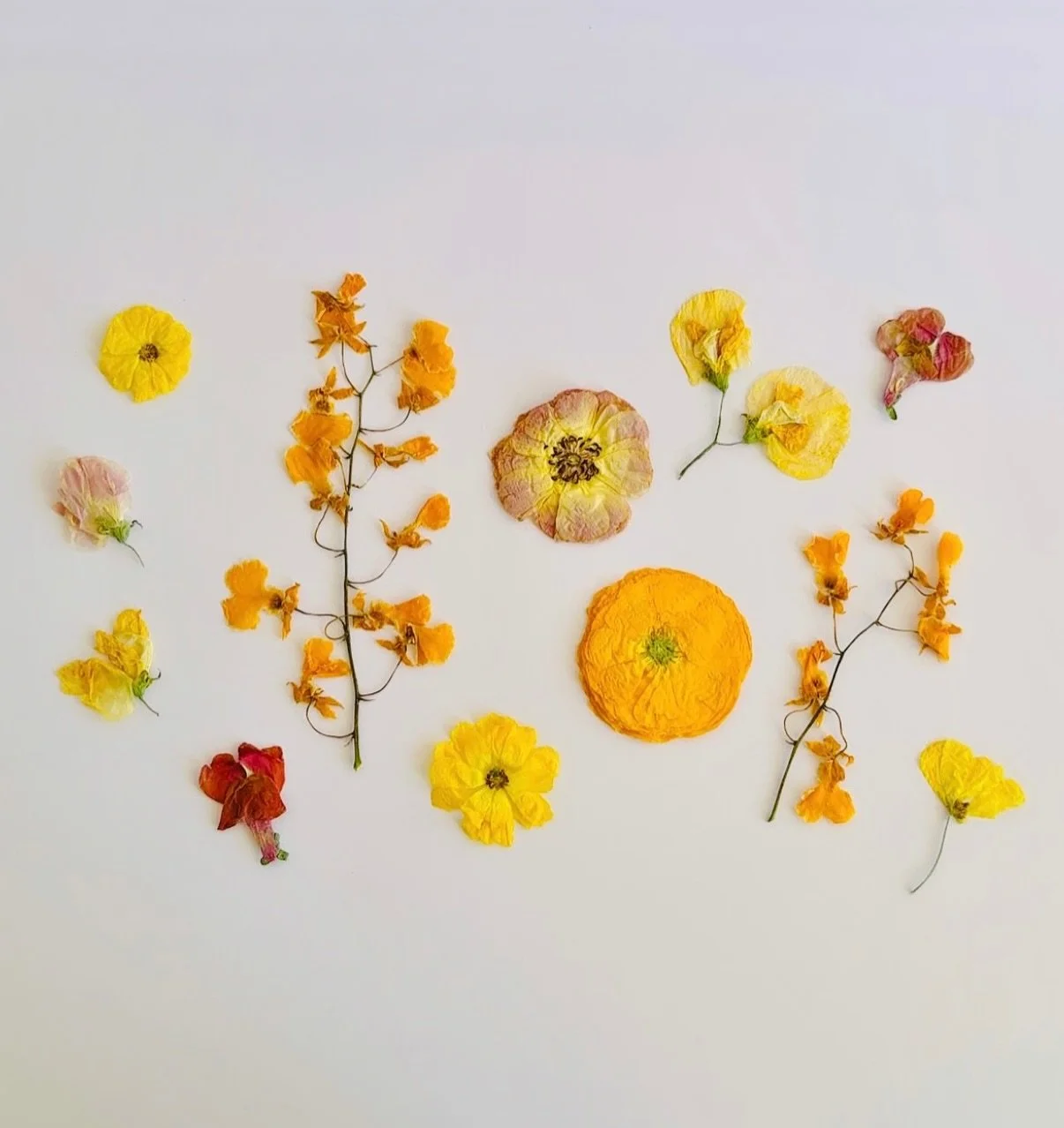 What a desolate place would be a world without a flower!

  Clara Lucas Balfour