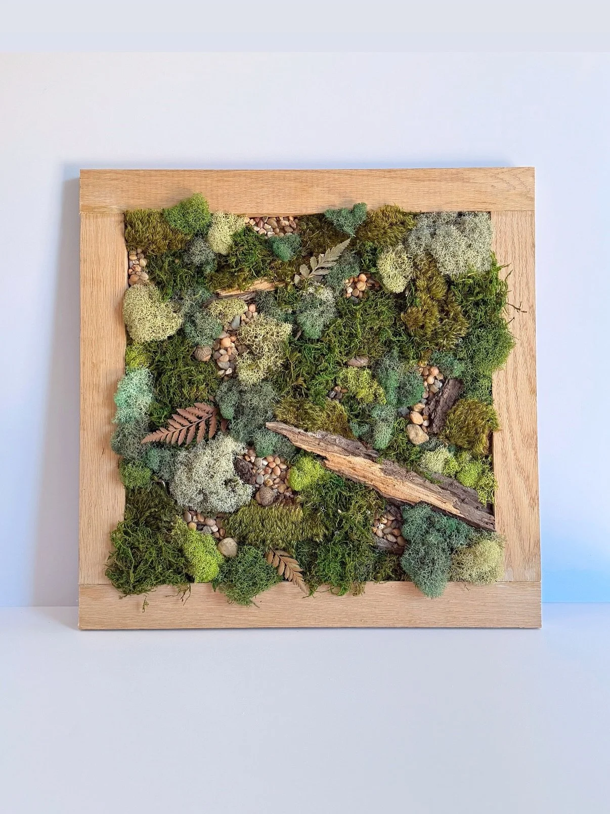 Bragging on my husband for surprising me and making me this for my birthday! Can&rsquo;t wait to hang it in Forest&rsquo;s nursery which is obviously woodland themed. Another fun new hobby unfolding at our house💚

Sidenote *hubby is an ecologist and