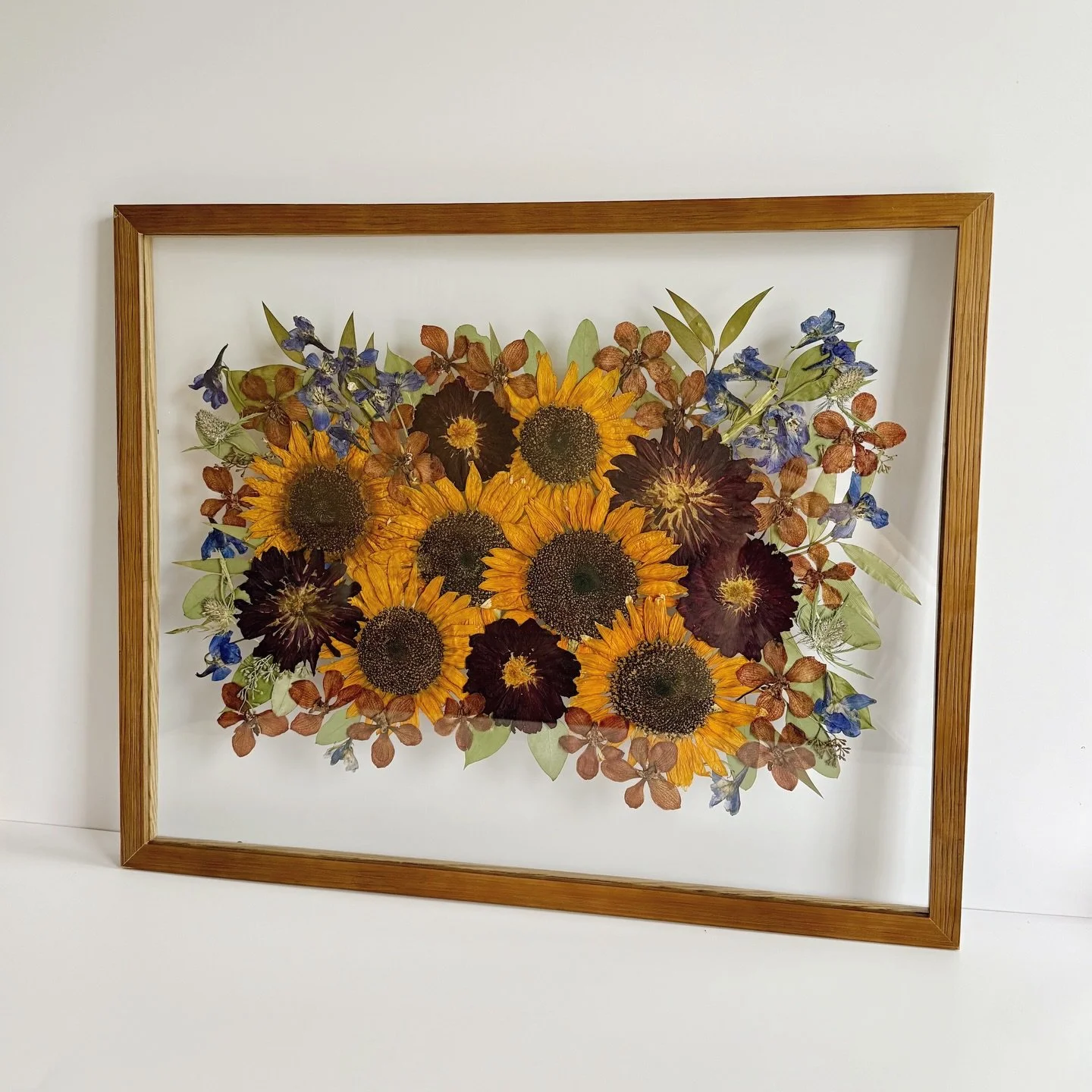 Let&rsquo;s talk about sunflowers! This batch couldn&rsquo;t have turned out more perfect! I was so excited to tell the bride all her sunflowers dried beautifully😍

These are definitely one of the trickiest flowers to press. As a rule of thumb, the 