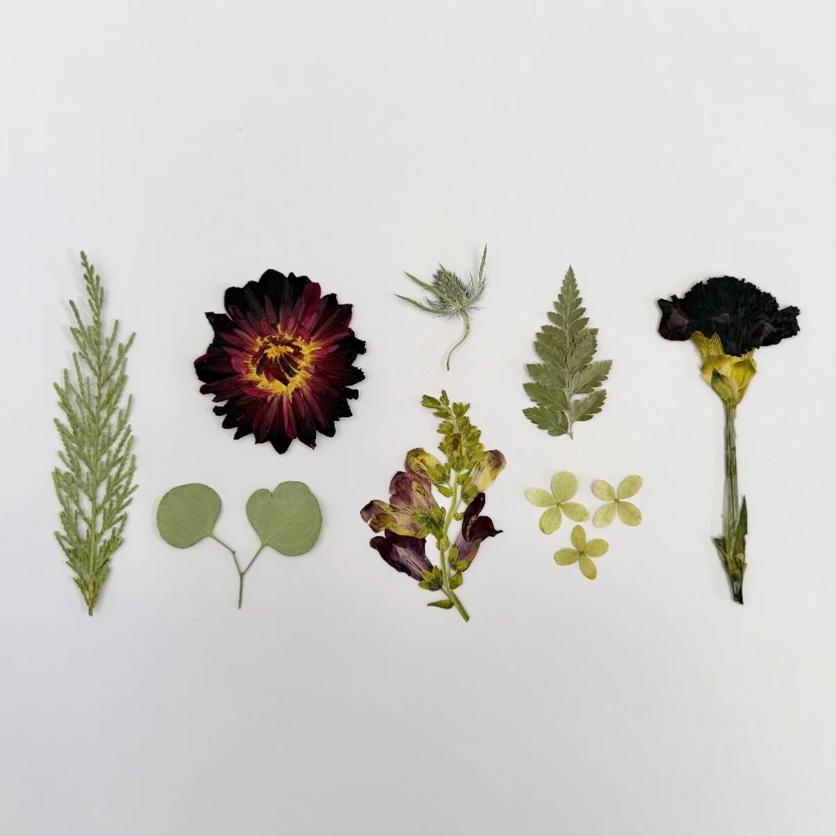 Just a few cuties from the press the last couple weeks! 

Let&rsquo;s be serious&hellip;for some the holidays are the most wonderful time of the year, and for others it&rsquo;s just the MOST time of the year. This is why the week between Christmas an