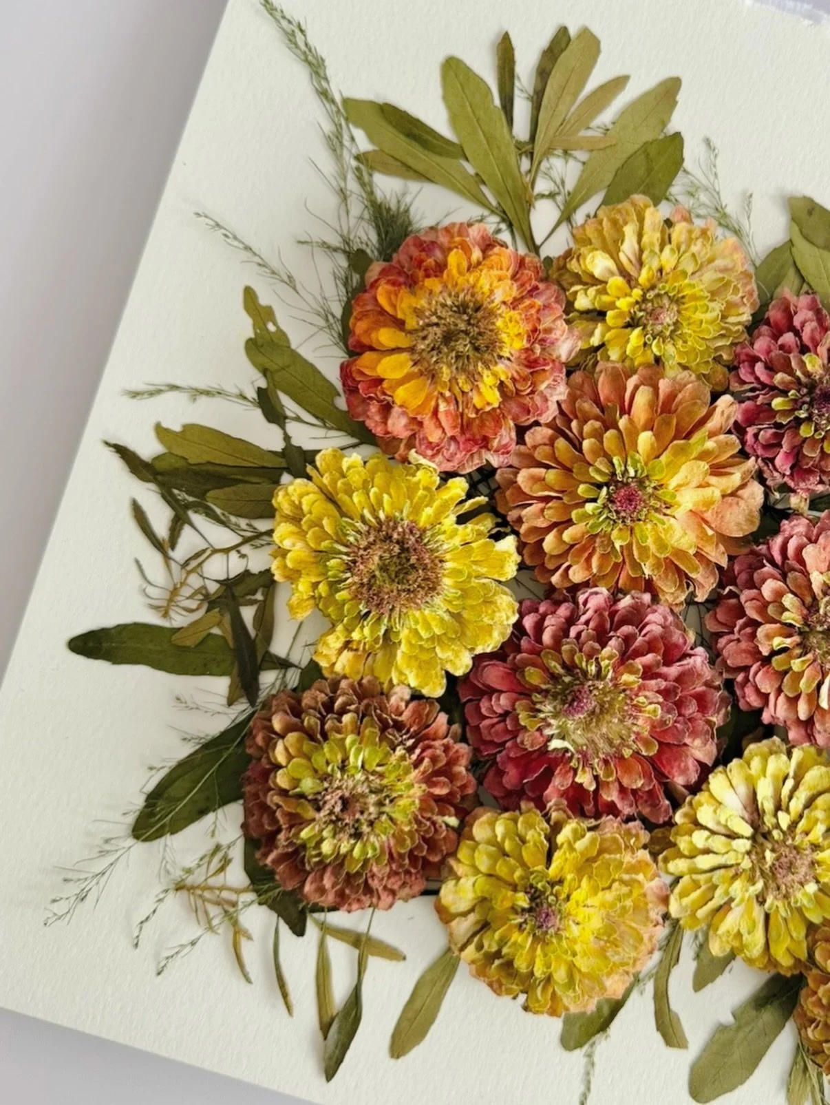 Did something a little different for Kayla! She had a gorgeous bouquet that she made of zinnias. With zinnias, you can only fit a few in a pressed frame or else it will be too thick to close with too many. 

So we dried them to keep their original sh
