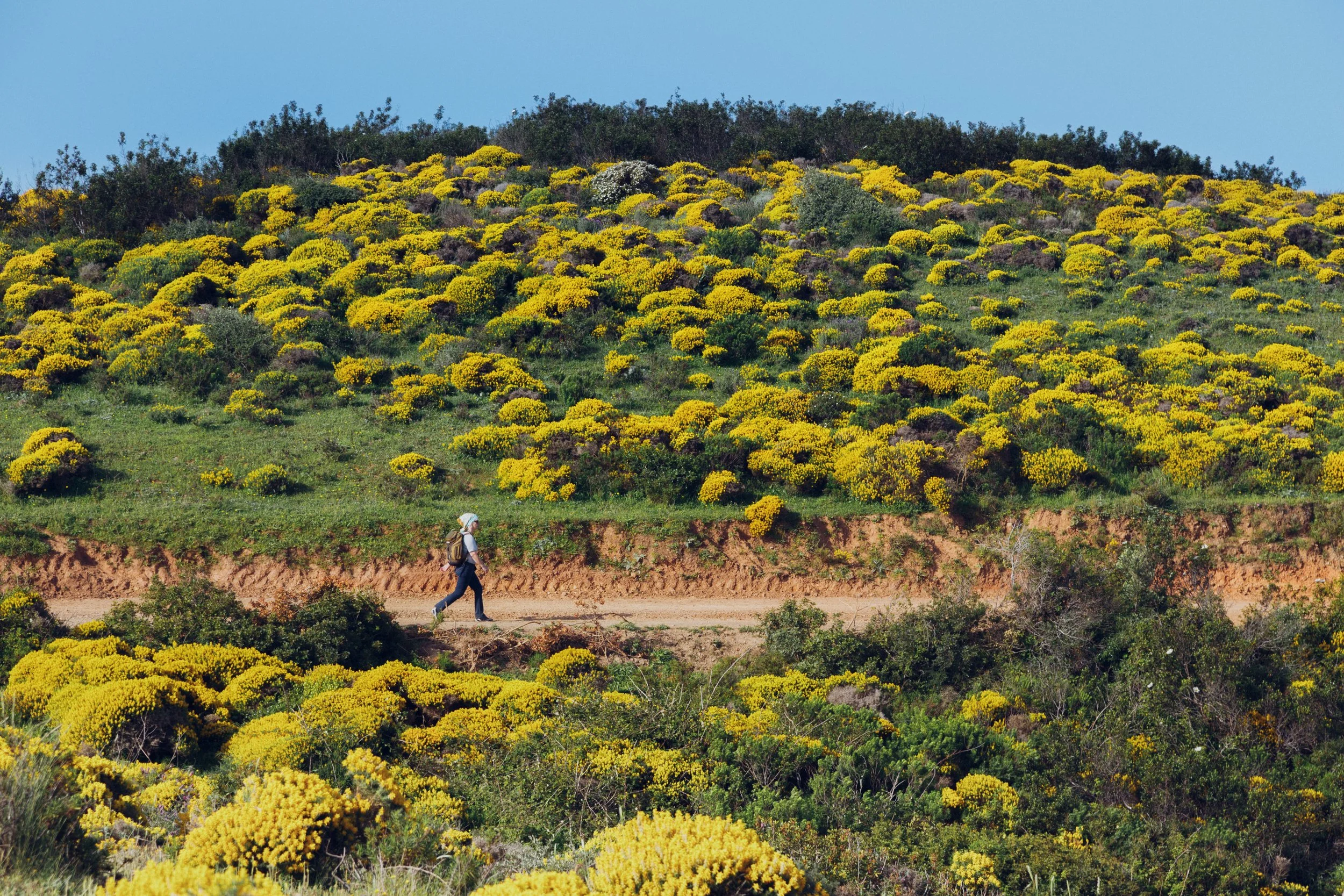 1as Buddhy-Raiz do ser-106.JPG