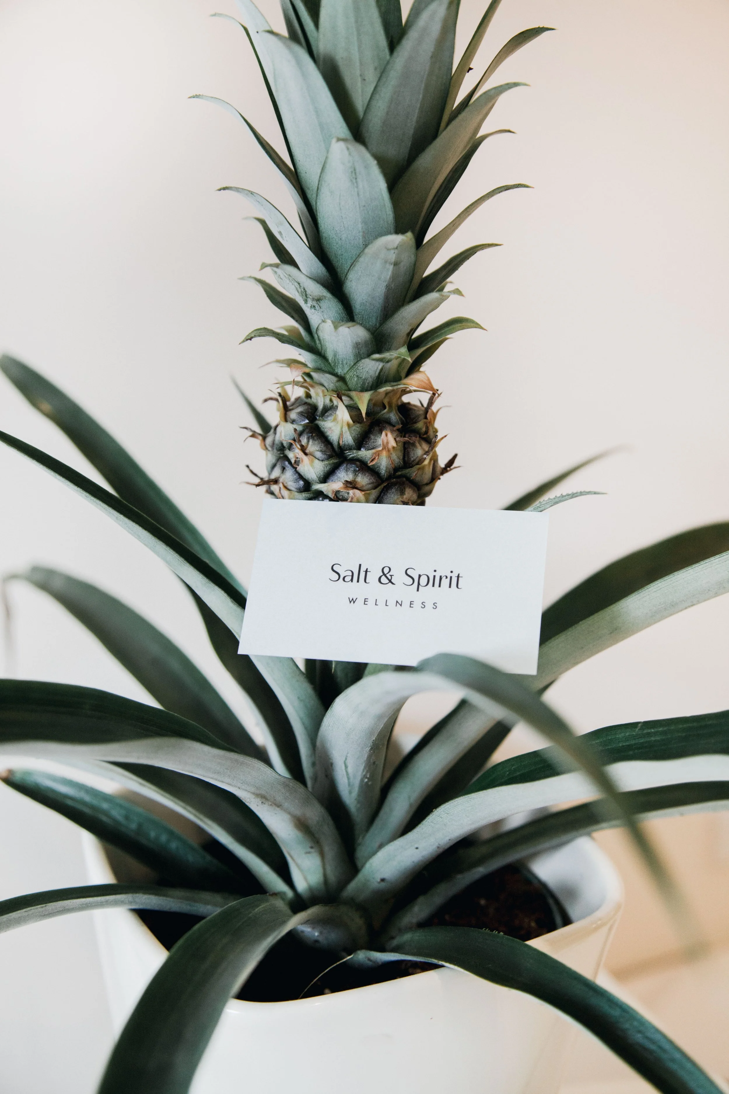 Salt & Spirit Wellness