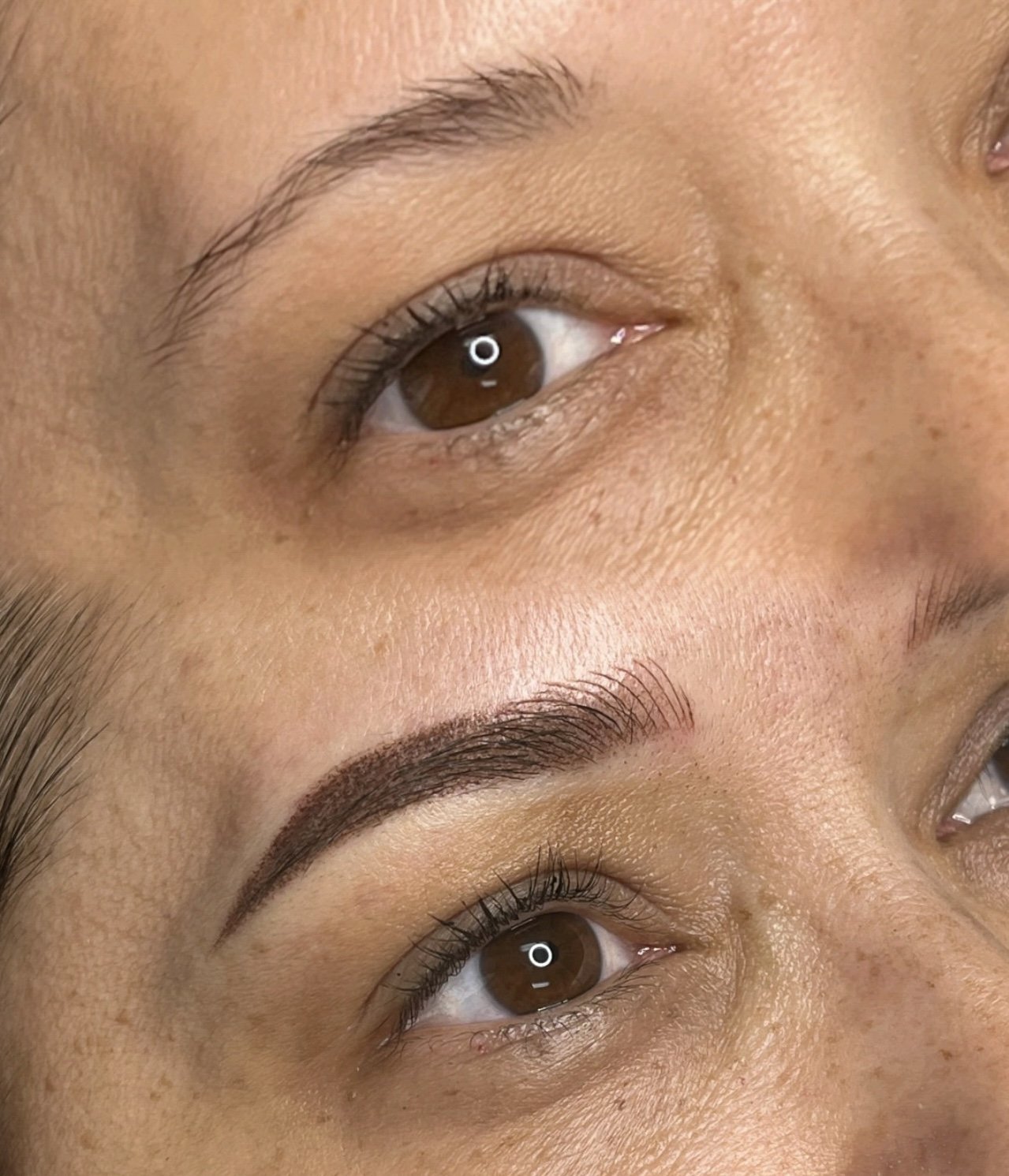 combo brow 7.jpg