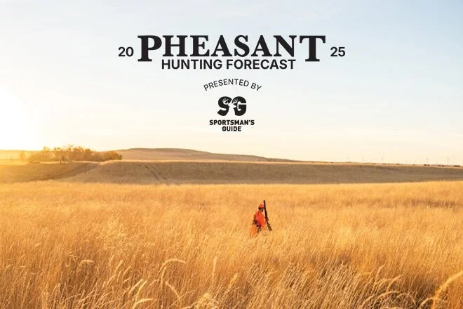 PF 2021-26 Pheasant Forecast: Montana
