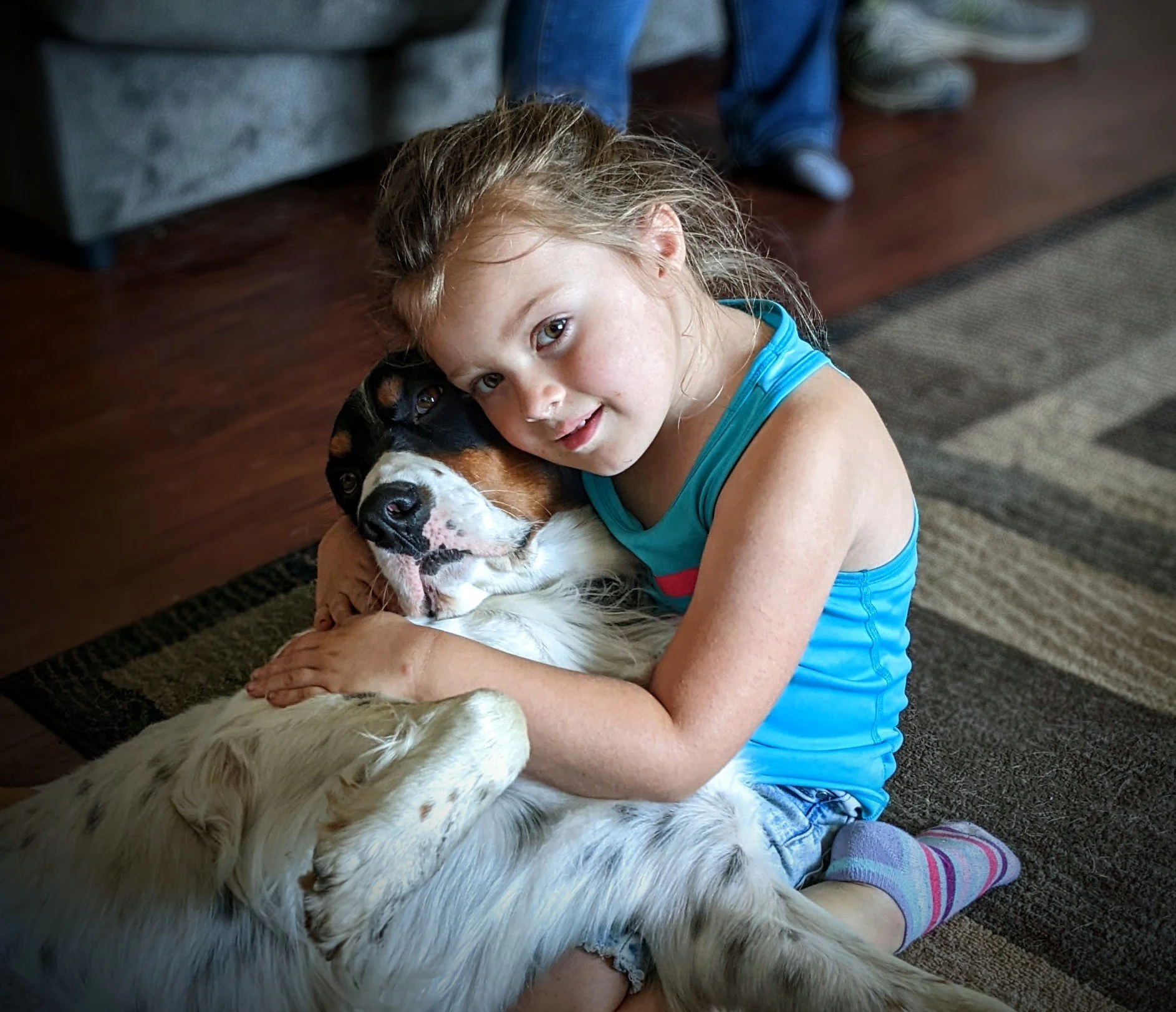 Canine Socialization: Definitions and Tips to Develop a Calmer Dog. - PDJ / Spring 2026