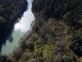 Ancient Indigenous forest gardens still yield bounty 150 years later (study)