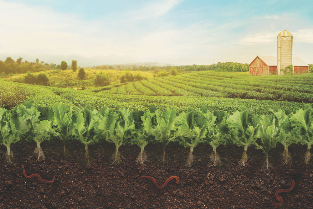 Can climate-smart regenerative farming save the earth?