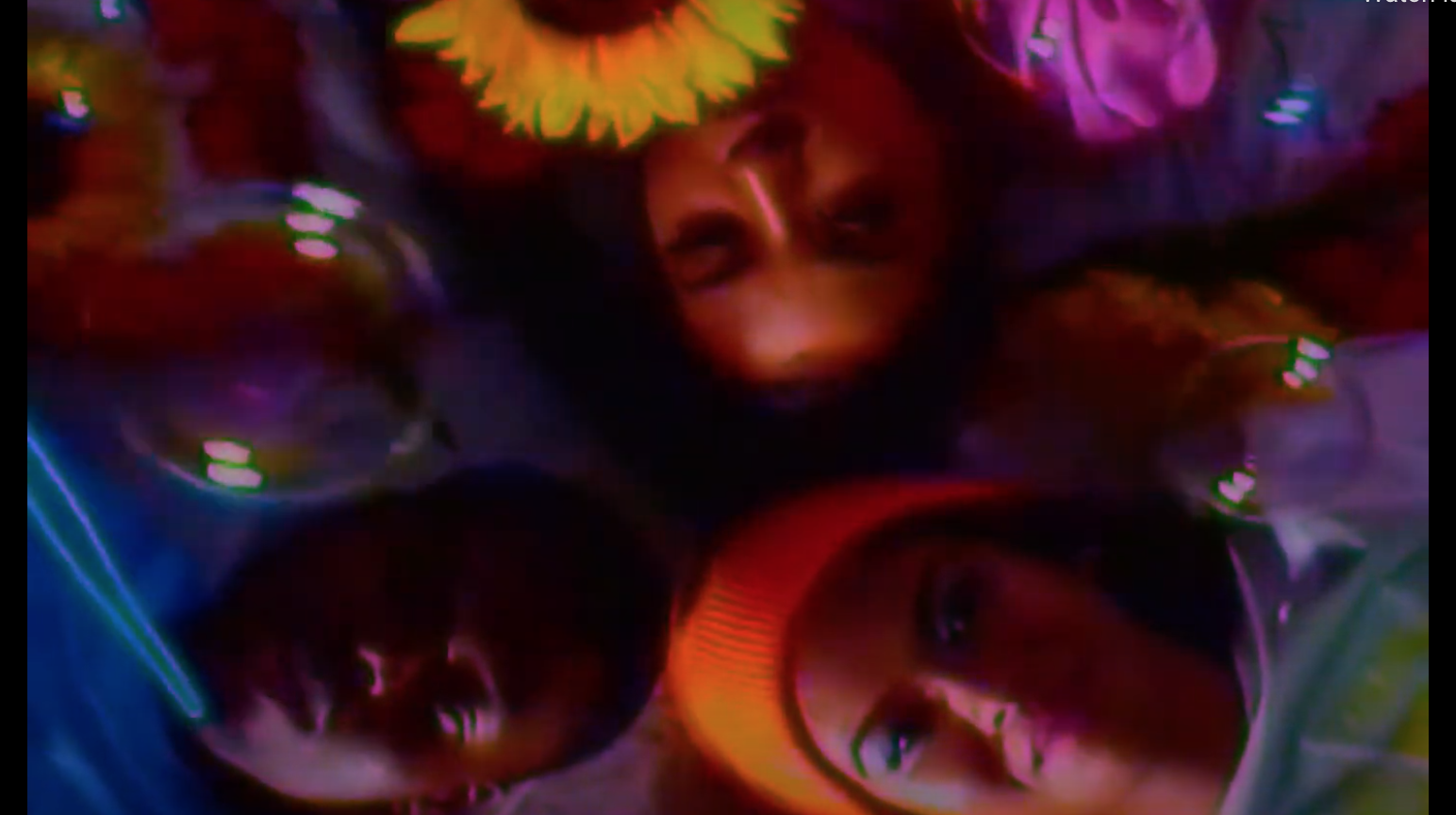 Roses - LUVRS (Merch Commercial)