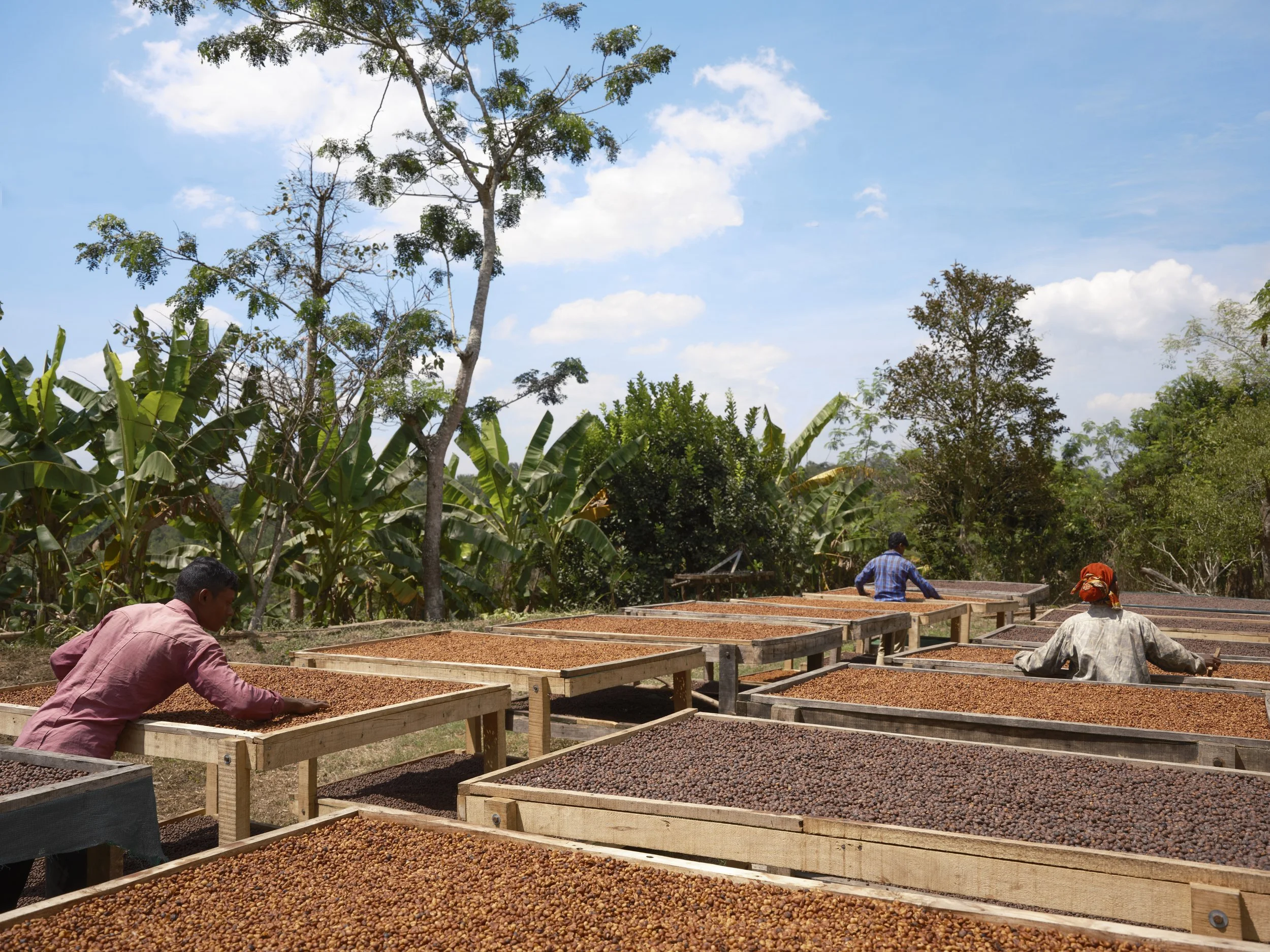 Riverside Estate - Yard.jpg