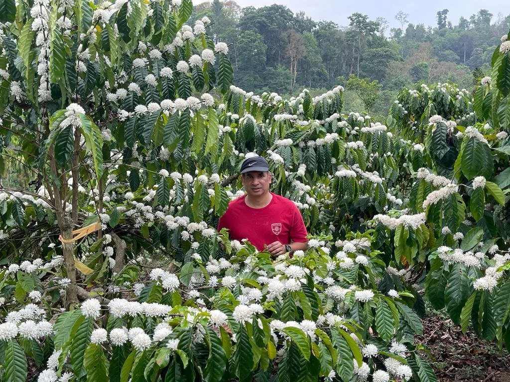 Sandalkad Estate01.jpg