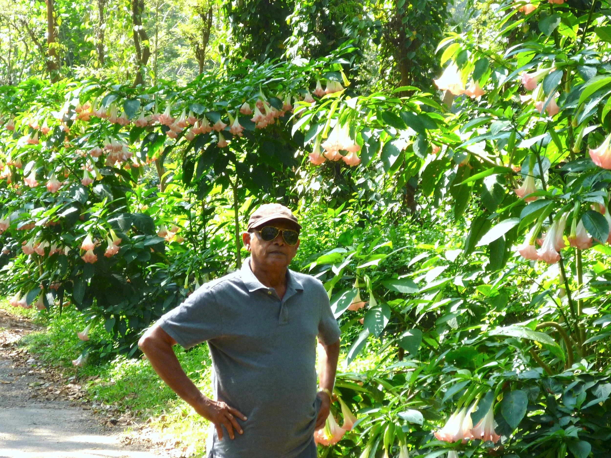 VPG Estate - Sharnoo Belliappa.JPG