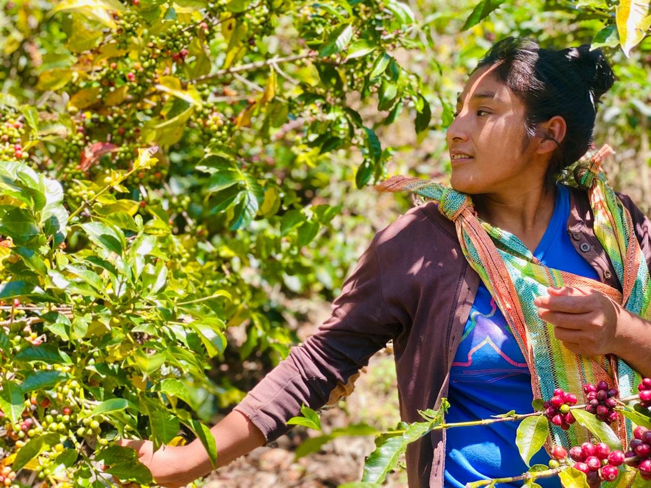 Marly Palomino 1.jpg