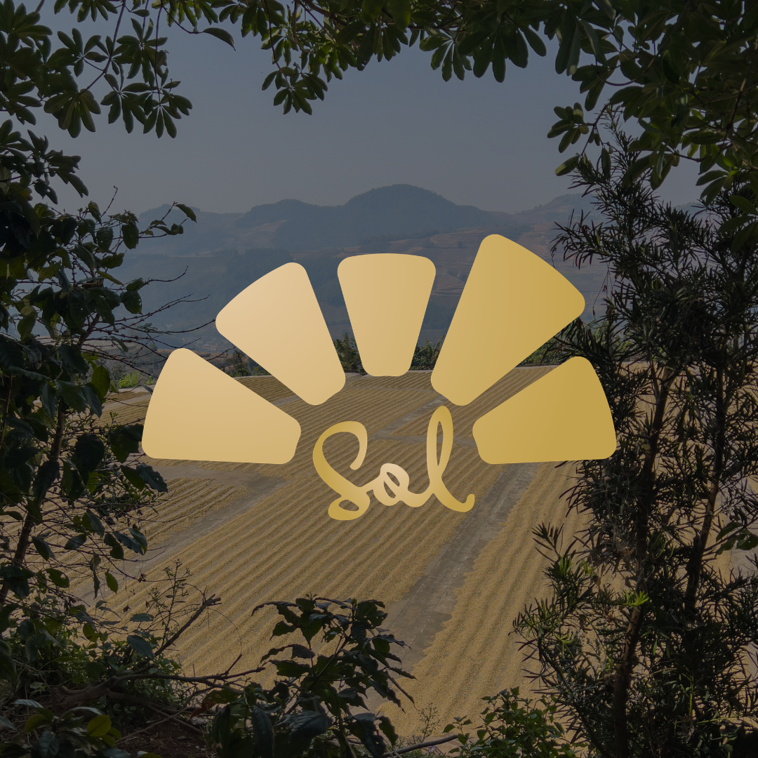 Cupping Event: Sol Coffee Trading Co.