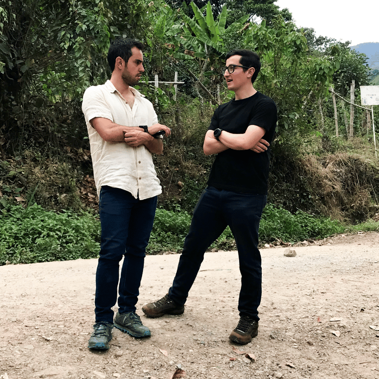 2026.09.10 Forest Cupping (2).png