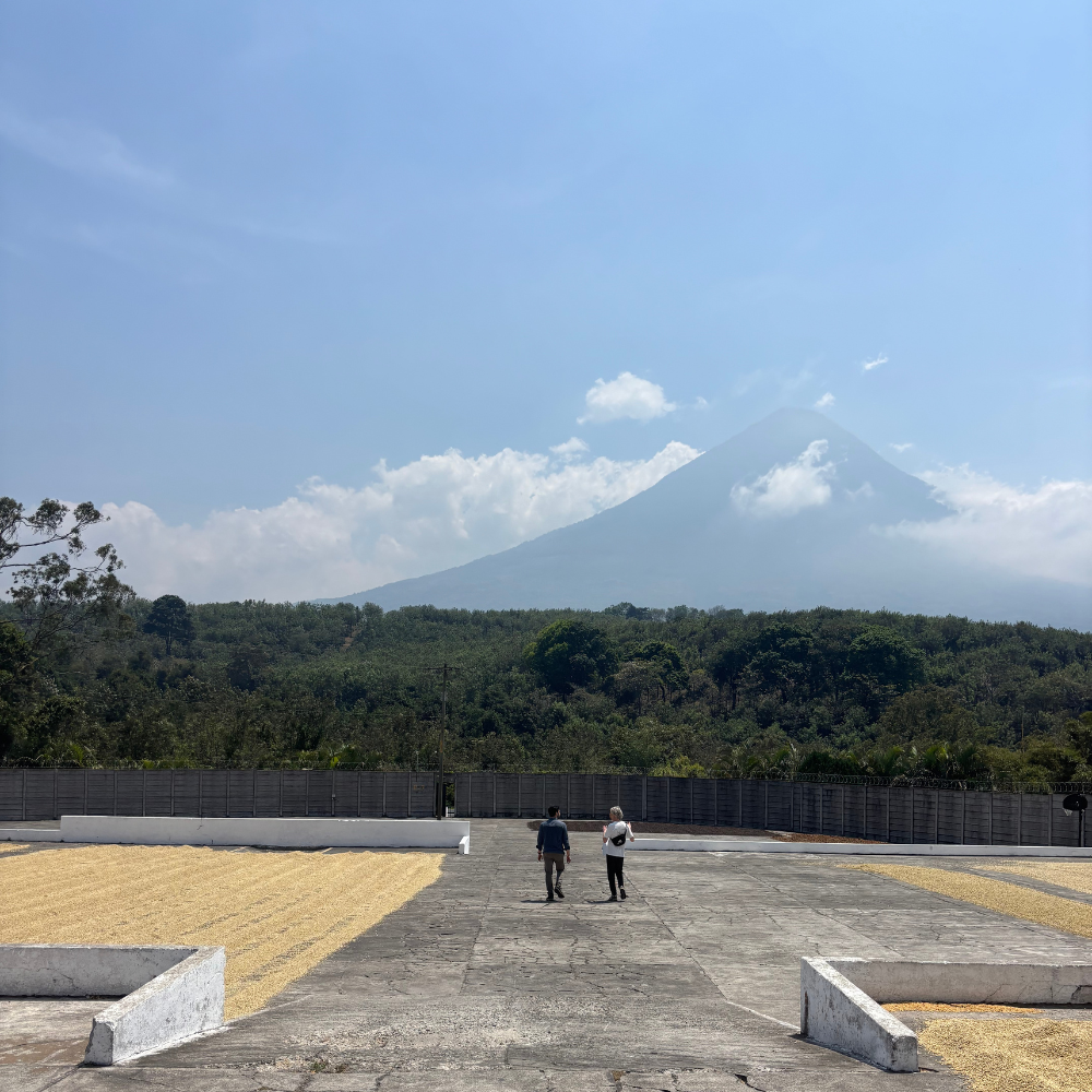 Guatemala