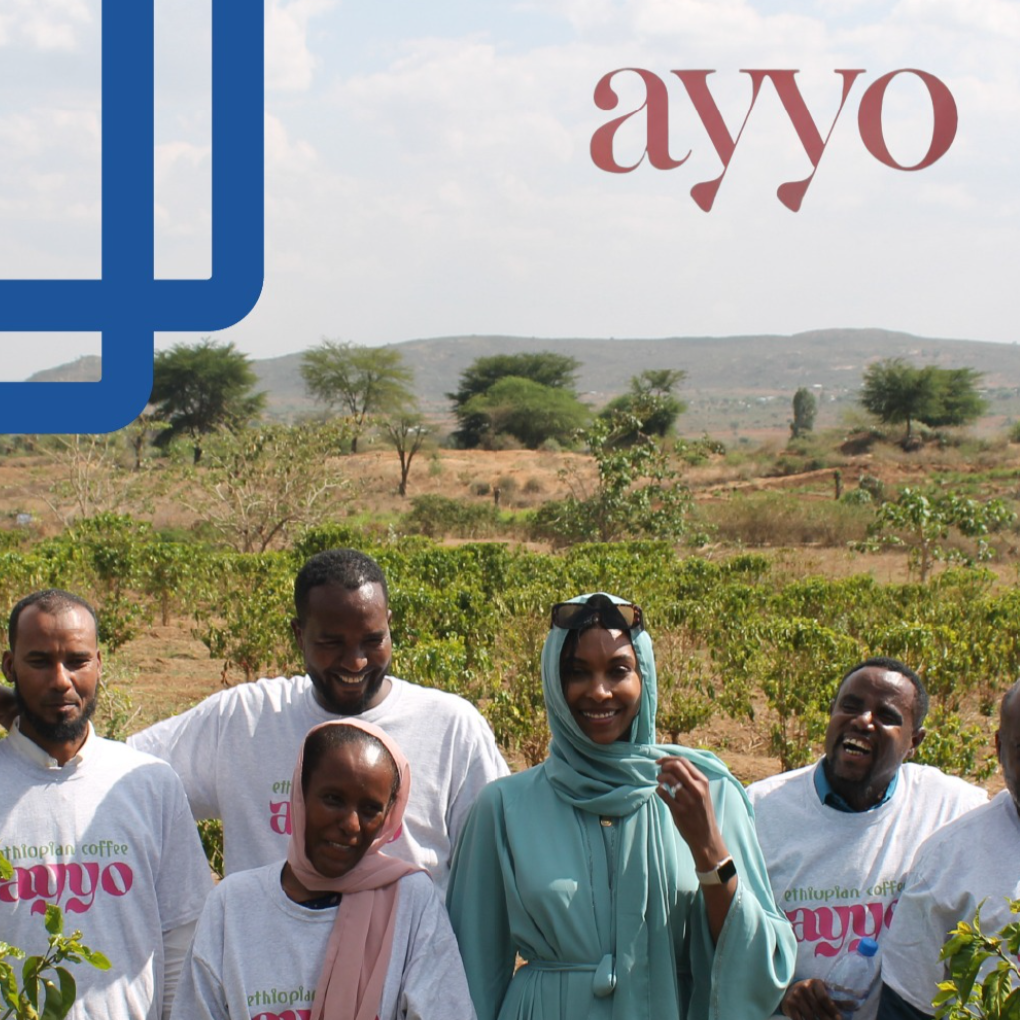 Cupping Event: Ayyo